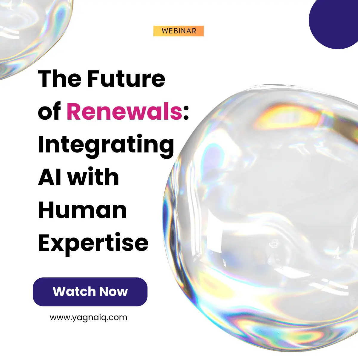 The Future of Renewals: Integrating AI with Human Expertise